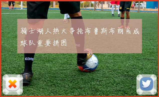 骑士湖人热火争抢布鲁斯布朗或成球队重要拼图