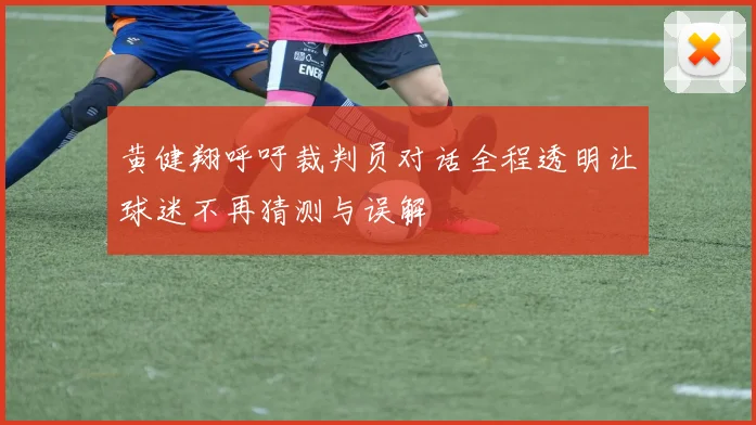 黄健翔呼吁裁判员对话全程透明让球迷不再猜测与误解